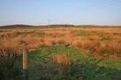 Moorland pasture at Moss Top. 358 metres above sea level. - via Daymix