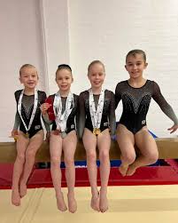 Image result for West Lothian Artistic Gymnastic Club