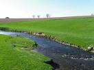 near to Blackadder, Scottish Borders, Great Britain. Blackadder Water - via Daymix