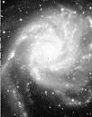 m101nuts.gif