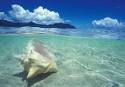 Global Travel International   Become an Independent Travel Agent
