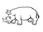 Rhino coloring page
