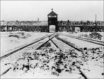 AUSCHWITZ survivor