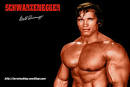 Photo Gallery: <b>Arnold Schwarzenegger</b> - Total