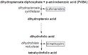 Dihydrofolate reductase inhibitor - Wikipedia, the free encyclopedia