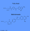 <b>Methotrexate</b> looks a lot like