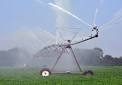 Pictures: Traditional spray irrigation