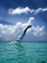 dive in | The Redesign Company