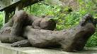 Yoga form: Oakfield Demense - via Daymix