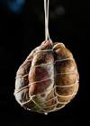 Salumist Spotlight - Culatello