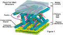 Molecular Expressions Cell Biology: Plant Cell Structure - Cell Wall