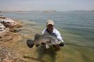 Nile Perch - Fly Fishing Lake Nasser with Jonathan Boulton