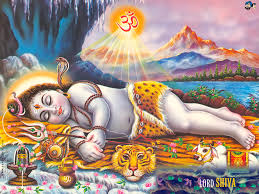 images?q=tbn:ANd9GcTW3GEsJY5m4xtmJzM9HITA2G5F8MlFrZPo_cRRL7GohJ0QBEom