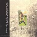 The Mountain Goats <i>Get Lonely</i> by Scott Roots : usounds: le ...