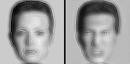 Illusion, distance changes face perception?