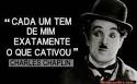 Eu mesmo