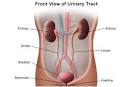 Cystoscopy for Women