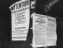 Japanese American Internment Camps