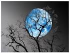 http://www.tascapane.it/home/images/stories/blue_moon-1.jpg