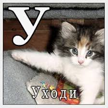 images?q=tbn:ANd9GcTX72zD3qjN170qib4HpD6e2viLGz3yMRuIMm7D5P6kRjayWM9x