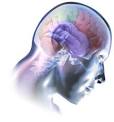 Biology of Neurological Disorders
