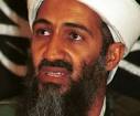 Ali Hasan al-Majid