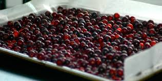 images?q=tbn:ANd9GcTXnbA0memQO4m-gfVY3kf