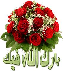 خليجية