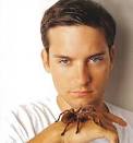 tobey maguire, all hands