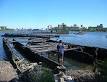 Coney Island Creek - Wikipedia, the free encyclopedia