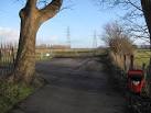 The cycleway from Rowleys Drive makes a U-turn around the tree and then - via Daymix