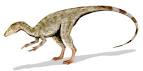 File:Compsognathus BW.jpg - Wikipedia, the free encyclopedia