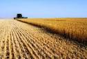 You Talk About 'Industrial Farming' Like It's A Bad Thing!”