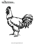 Rooster coloring page