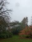 Bournemouth: the balloon in the mist. Looking across the part of the Gardens - via Daymix