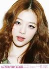 f(x) Sulli Pinocchio Danger