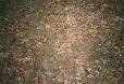 Cu Chi tunnels - Wikipedia, the free encyclopedia