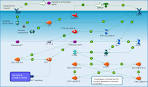 Pathway Map: Development_Dopamine D2 receptor transactivation of ...