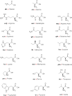 Amino Acids