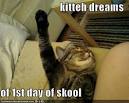 funny school pictures