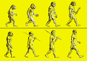 Human Origin - Beaverland Historica - Wonders and Mysteries of the ...