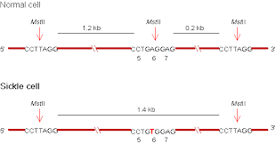 external image images?q=tbn:ANd9GcTZN1TPMAvfkHYrClhI1XaVj6fxPyHYNulRKieQlPzA0KUxKZ-6