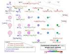 of <b>divalent cations</b>,