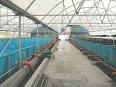 Fish farming - Wikipedia, the free encyclopedia