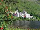 International Homestay - IRELAND
