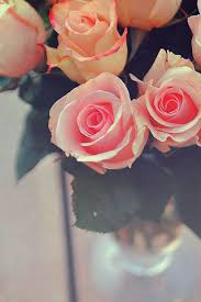 ��: ���������� bb ������� �[ ��������� ]� 