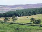 Shows the location of NY8955 : Paint your wagon. Photo taken from near the - via Daymix