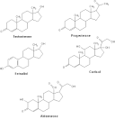 Steroid hormones, androgens - Pharmacorama