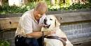 Programs for the Blind and Visually Impaired - Guide Dogs for the ...