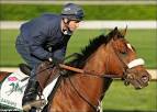 Blinkers Off: Who is Peter Brette? Barbaro knows!